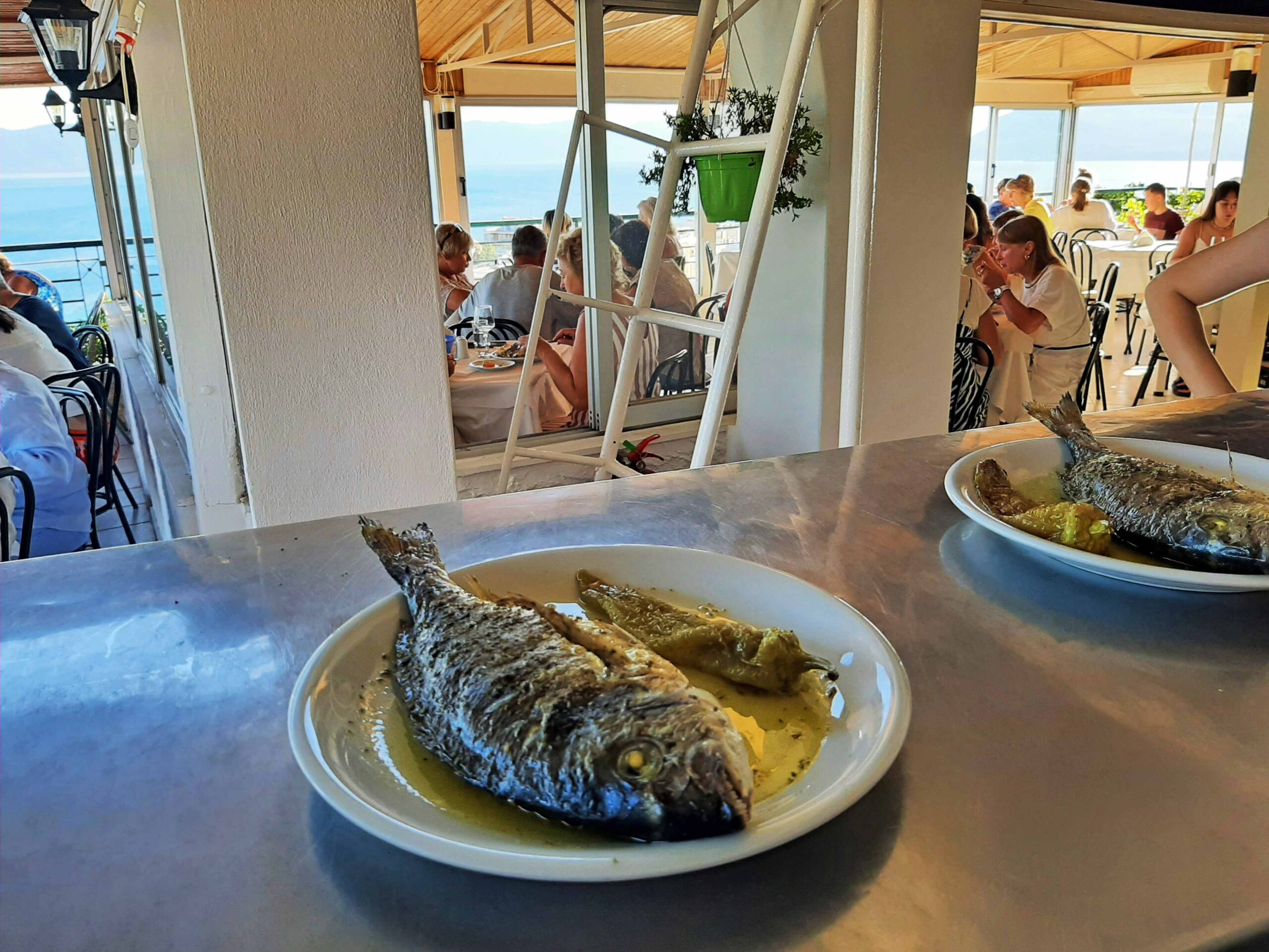 οκ 20240707_191904